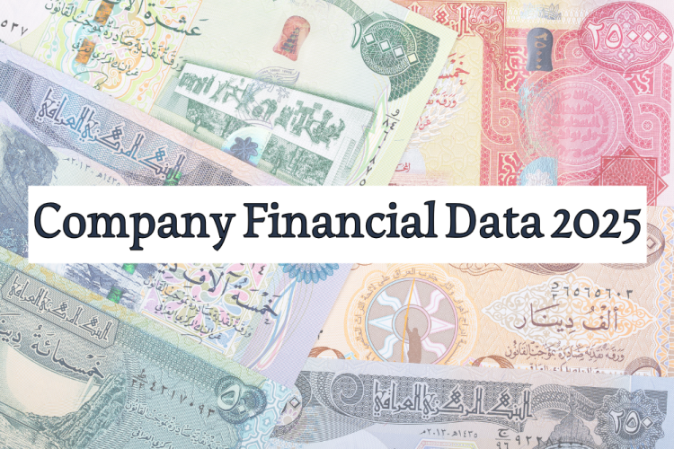 Financial Data For Al-Fao General Engineering Company For The Year 2025