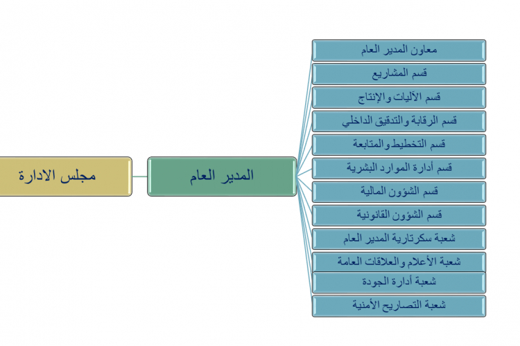 الهيكل التنظيمي